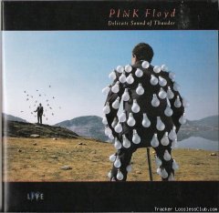 Pink Floyd - Delicate Sound Of Thunder (1988) [Vinyl] [FLAC (image + .cue)](кликните для просмотра полного изображения)