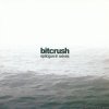 Bitcrush - Epilogue In Waves (2008) [FLAC (tracks + .cue)]