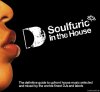 VA - Soulfuric In The House (2004) [FLAC (tracks + .cue)]