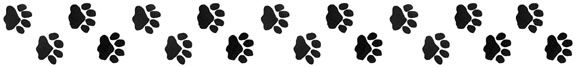 Pawprints Border