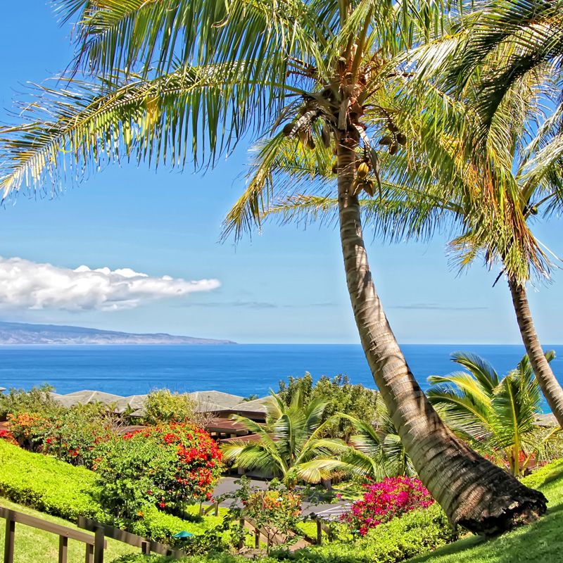 Kapalua Ridge Villas