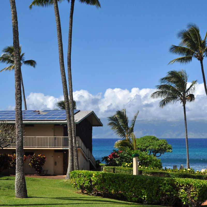 Napili Shores