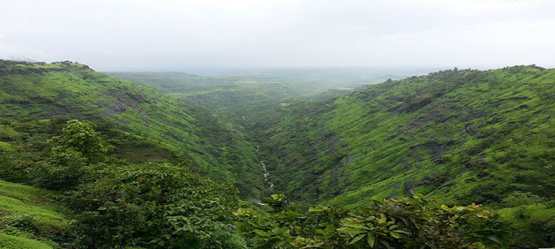 Camel Valley