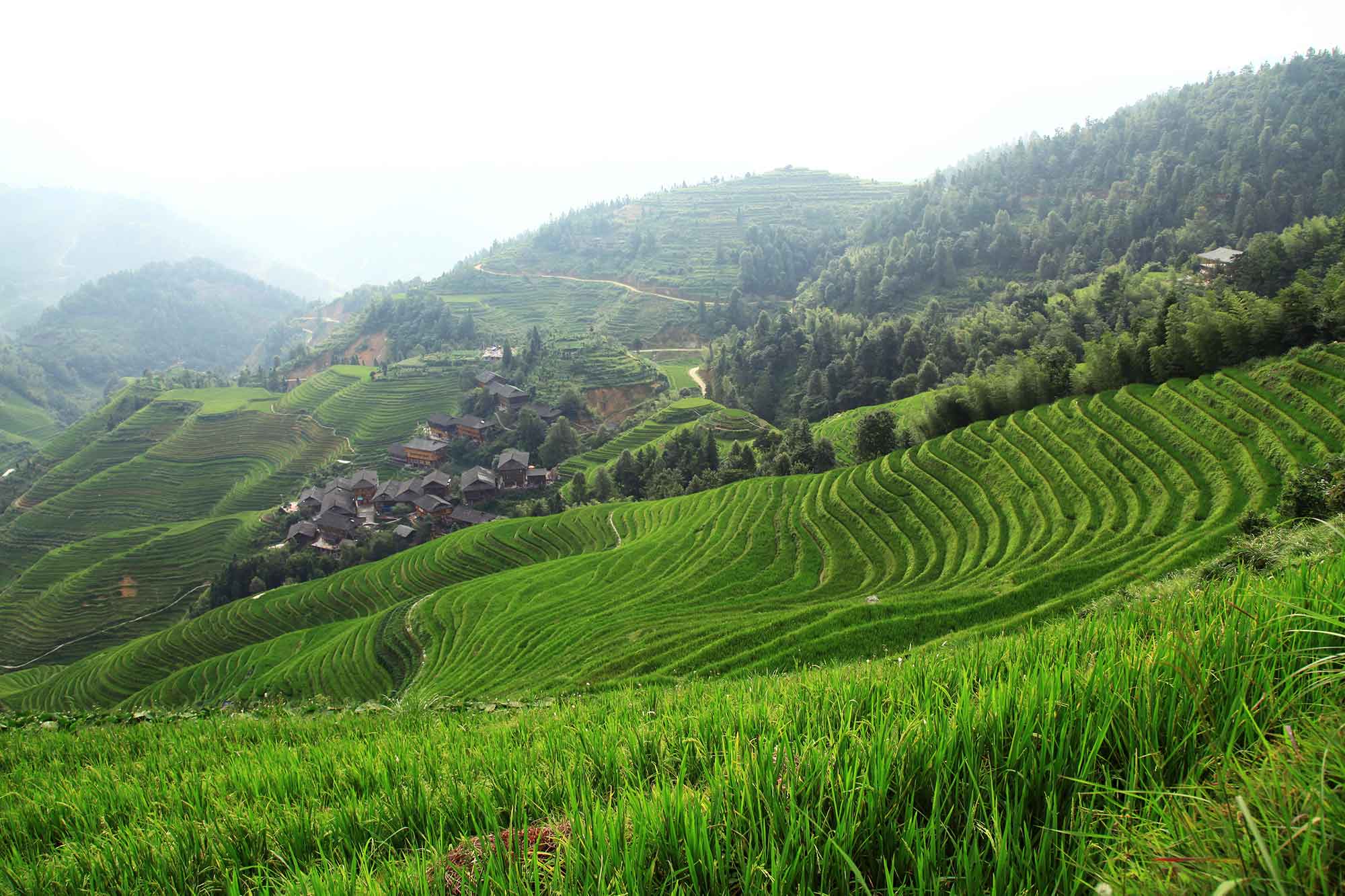 dazhai-village-longji-rice-terraces-guangxi-china