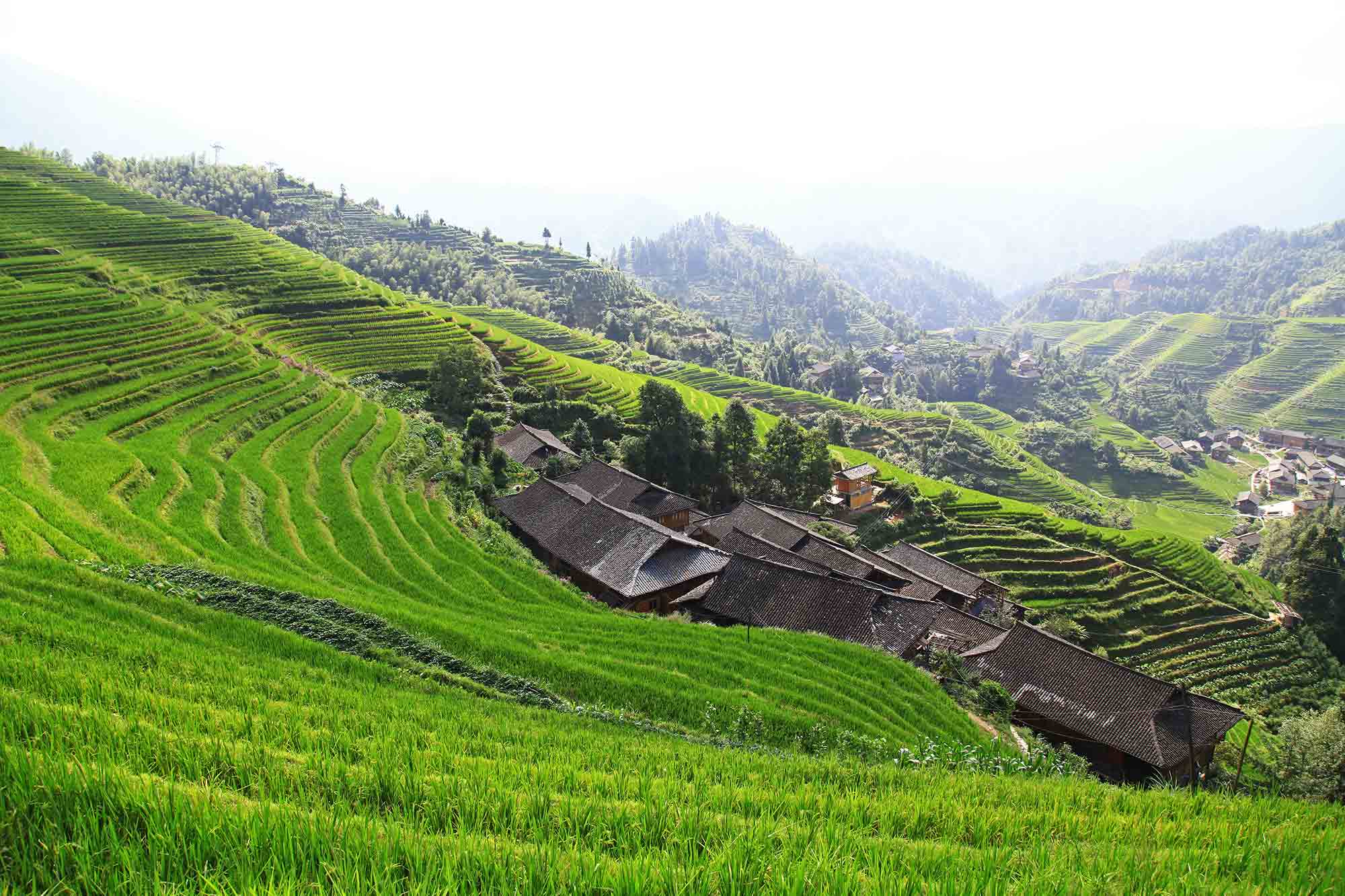 longji-rice-terrace-dazhai-dragon-backbone-china-5