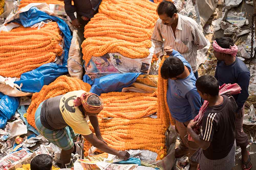 Mullick-Ghat-Flower-Market-kolkata-india-featured