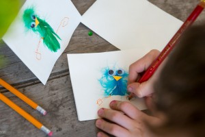 Bird Feather Cards