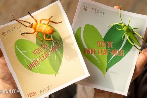 Bug Pin Printable Valentine's Day Cards with make-it-your-own.com (Creative activities for kids)