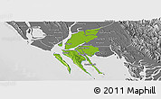 Physical Panoramic Map of Pauktaw, desaturated