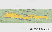 Savanna Style Panoramic Map of Slavonski Brod-Posavina