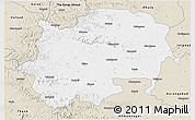 Classic Style 3D Map of Nashik