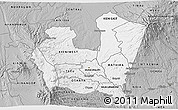 Gray 3D Map of NYERI