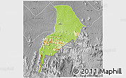 Physical 3D Map of Takum, desaturated