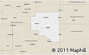 Classic Style 3D Map of Moultrie County