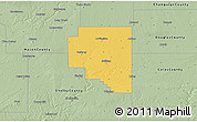 Savanna Style 3D Map of Moultrie County