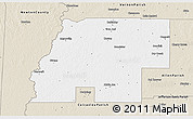 Classic Style 3D Map of Beauregard Parish