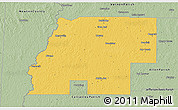 Savanna Style 3D Map of Beauregard Parish