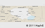 Classic Style Panoramic Map of Livingston Parish