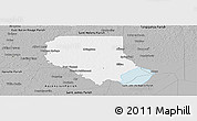 Gray Panoramic Map of Livingston Parish