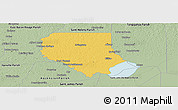 Savanna Style Panoramic Map of Livingston Parish