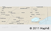 Shaded Relief Panoramic Map of Livingston Parish