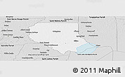 Silver Style Panoramic Map of Livingston Parish