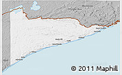 Gray 3D Map of Cook County