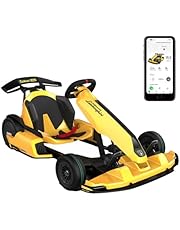 Segway Ninebot Electric GoKart Pro 4800W Motor, 25km Long Range &amp; Max Speed Up to 45km/h, Outdoor Race Pedal Go Karting Car