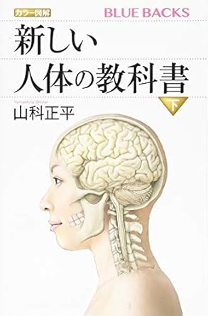 カラー図解 新しい人体の教科書 下 (ブルーバックス 2024)