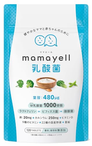 ママエール乳酸菌 葉酸 高配合 480μg 妊婦 妊娠 産後 サプリメントの商品画像