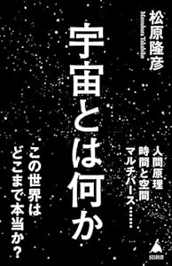 宇宙とは何か (SB新書)