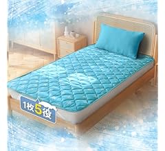 SunshineLife Q-MAX 0.45 Single Bed Pad, For Summer, B Type Silica Gel Sheet, 4 Large Deodorizers, Dehumidifier, Cool Touch …