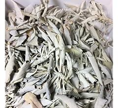 Beaut White Sage, Purification, Non-Selected, B Product, Outlet with Certificate of Origin Certificate, No Pesticides, Made…