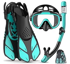 Snorkel Set Adult, Panoramic Diving Anti-Fog and Leak-Proof Snorkeling Equipment, Dry Top Snorkel Mask Snorkel Fins Combo S…