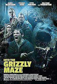 Primary photo for Into the Grizzly Maze