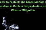 Grow to Protect: The Essential Role of Gardens in Carbon Sequestration and Climate Mitigation