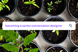 Becoming a senior conversation designer: how to tell when you’ve ✨made✨ it