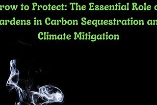 Grow to Protect: The Essential Role of Gardens in Carbon Sequestration and Climate Mitigation