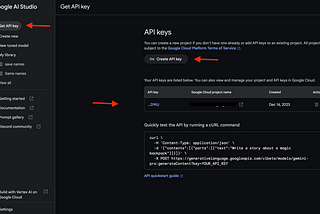 Secure your Gemini AI API Key with Google Cloud Restrictions