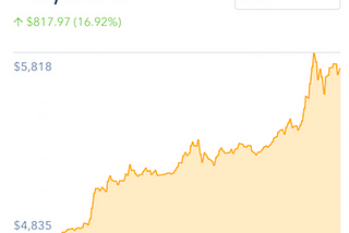 Digital Tulips or: How I learned to stop worrying and embrace the coin.