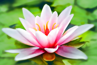 The Lotus Blossom method: ideation on steroids