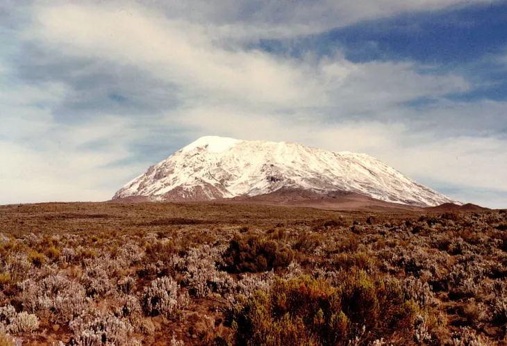 A Snowstorm In Tanzania