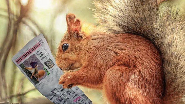 red squirrel reading a print newspaper called ‘Squirrel Daily’