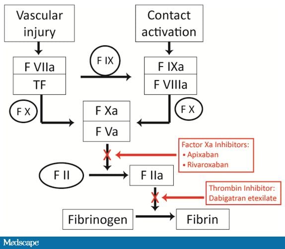 Pradaxa Mechanism Of Action. +mechanism+of+action