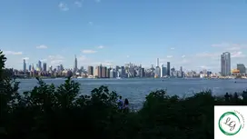 Sustainable Picnic in Central Park