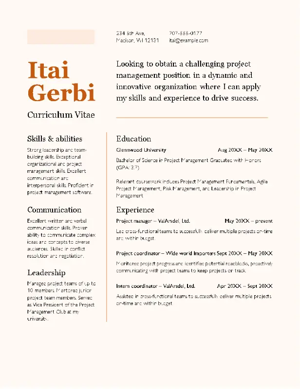 CV (resume) orange modern color block