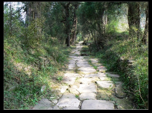 四川風景圖片：古蜀道翠雲廊