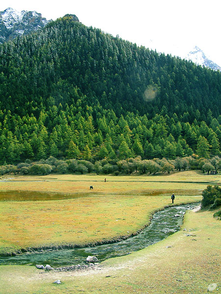 亚丁风景区－冲古寺河谷