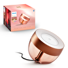 Philips Hue Iris Copper 929002376803