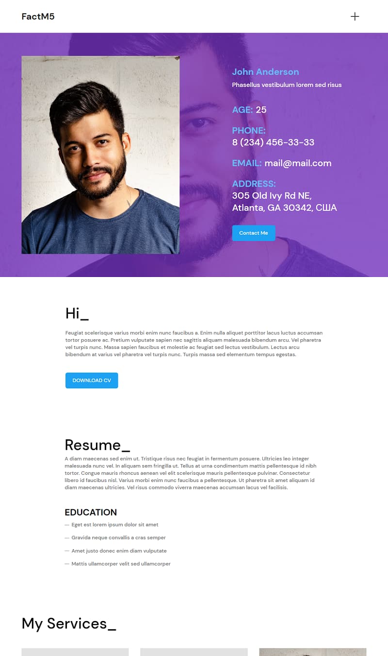 Freelancer Resume